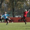 sc hartenfels torgau - bornaer sv 08.11.2015  4